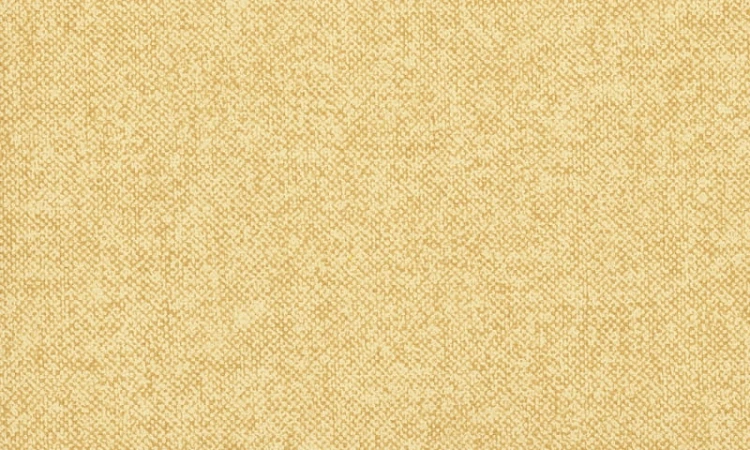 afb1c914ba12a7ce6b1fb591982194a6