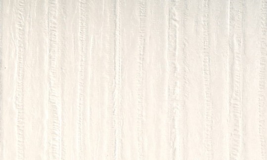 Arte 47151 Ecorse - tapeta obiektowa o strukturze skóry węgorza