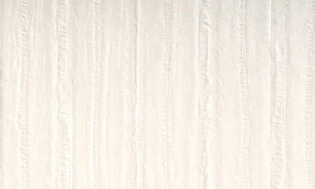 Arte 47151 Ecorse - tapeta obiektowa o strukturze skóry węgorza