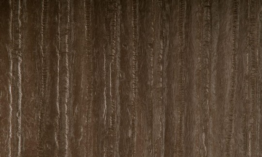 Arte 47157 Ecorse - tapeta obiektowa o strukturze skóry węgorza