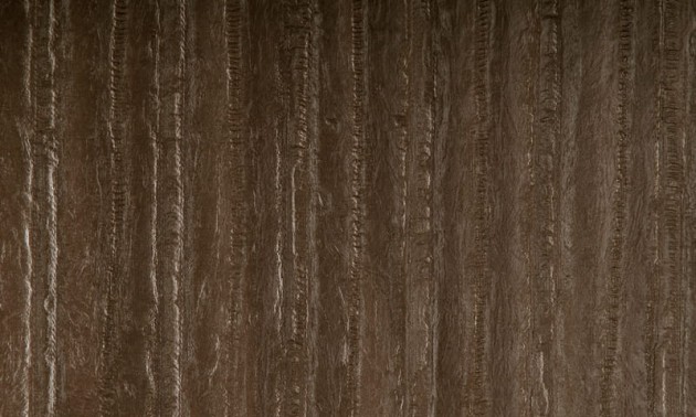 Arte 47157 Ecorse - tapeta obiektowa o strukturze skóry węgorza