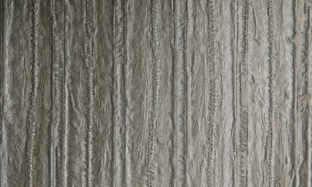 ce53c5896a2a1087218f18ba642da456