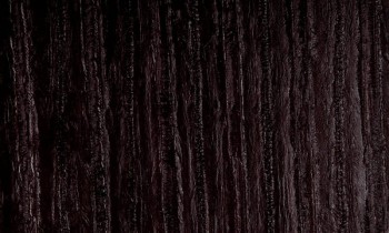 a510fe6438335ab975b06e23b90e2834
