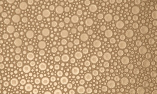 Arte 47206 Leather Roundels - tapeta obiektowa w skórzane kółka