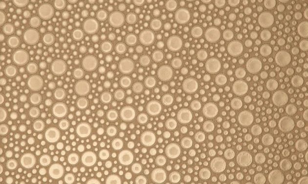 Arte 47206 Leather Roundels - tapeta obiektowa w skórzane kółka