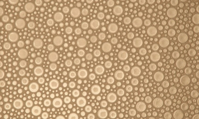 6079c1b946e7cc6ab48afe36e0d12446