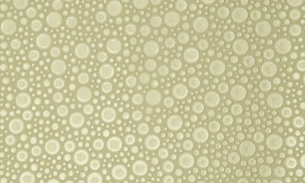 Arte 47207 Leather Roundels - tapeta obiektowa w skórzane kółka