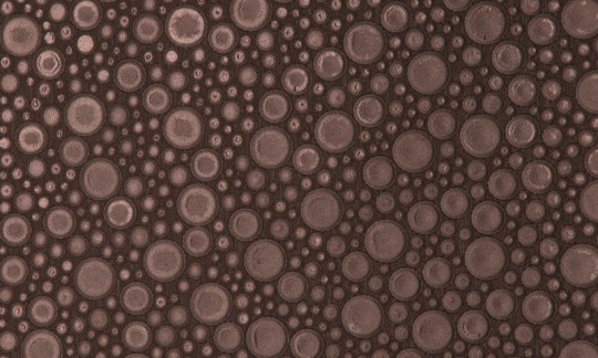 Arte 47209 Leather Roundels - tapeta obiektowa w skórzane kółka