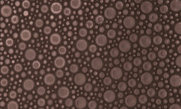 Arte 47209 Leather Roundels - tapeta obiektowa w skórzane kółka