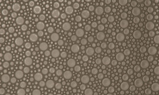 Arte 47214 Leather Roundels - tapeta obiektowa w skórzane kółka