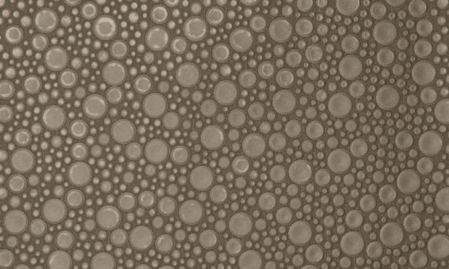 Arte 47214 Leather Roundels - tapeta obiektowa w skórzane kółka