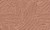 c79aae77ff00387b76e91a1e4b5a7dc0