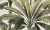 fc3e3f0908acb460a9d2abbc73ea9f6f
