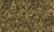 b556af843ae75de9a0dd372c4d1e49aa