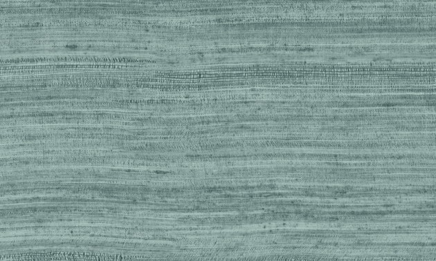 Arte 72032 Expedition Tasar - tapeta jednolita imitująca jedwab