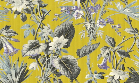 Tapeta Arte Insolence 34640 Grow