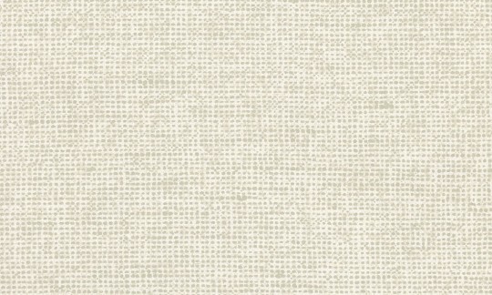 Arte Essentials Les Nuances 91500 Chanderi Pillow - tapeta imitująca płótno
