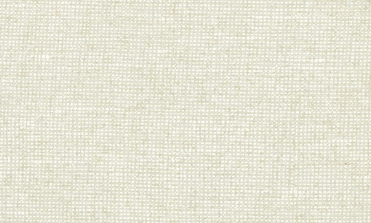 Arte Essentials Les Nuances 91501 Chanderi Eggshell - tapeta imitująca płótno