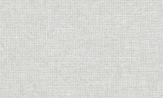 Arte Essentials Les Nuances 91502 Chanderi Moonshine - tapeta imitująca płótno