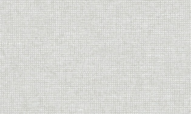 Arte Essentials Les Nuances 91502 Chanderi Moonshine - tapeta imitująca płótno