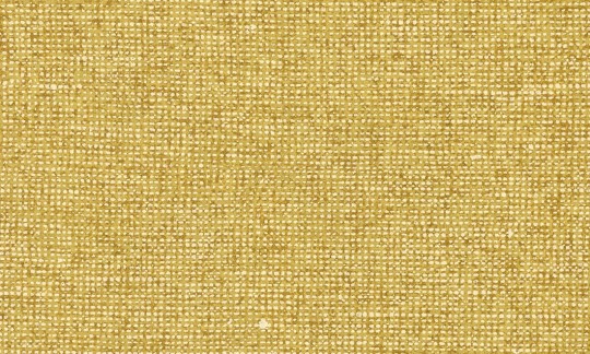 Arte Essentials Les Nuances 91505 Chanderi Merigold - tapeta imitująca płótno