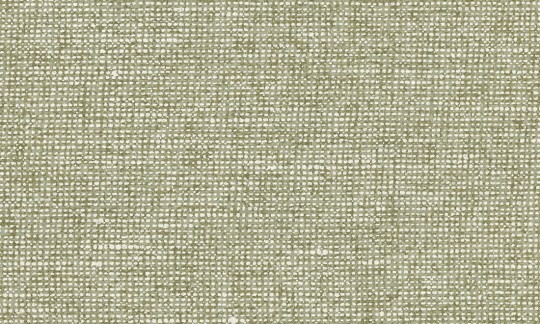 Arte Essentials Les Nuances 91511 Chanderi Pistachio - tapeta imitująca płótno