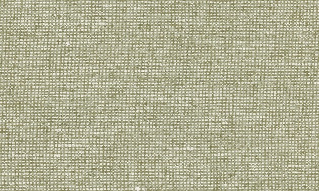 Arte Essentials Les Nuances 91511 Chanderi Pistachio - tapeta imitująca płótno