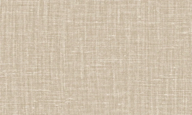 d503bc4dd7f82a6ba38c50ee5344f107