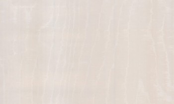 90701d5ff202fdcecfcda25c7f81afa5