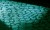 357c3ab4379e15ccf2d9acd59a323cfe