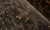 5ecec02d64dc75ba480225b355adc75a
