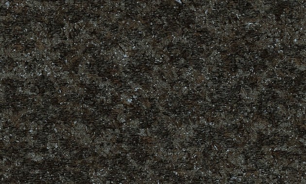 Tapeta Arte Moooi Extinct Animals MO2052 Bearded Leopard