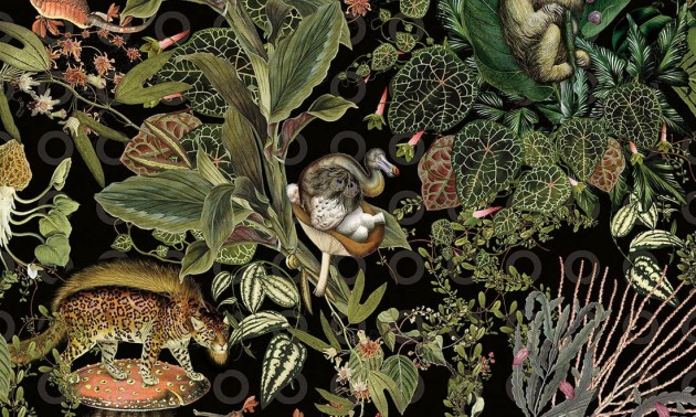 Arte MO2071 Moooi Extinct Animals Menagerie Of Extinct Animals - tapeta na czarnym tle