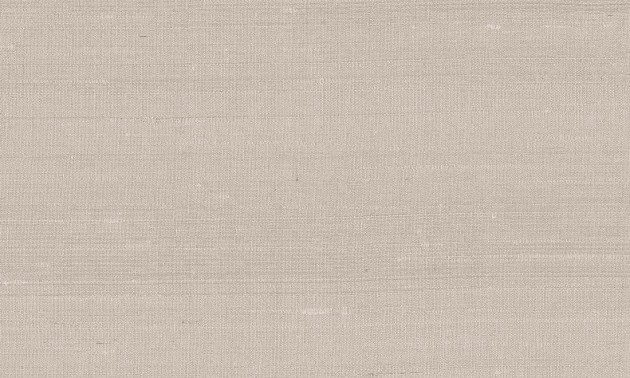 Tapeta Arte Paleo 50506 Latus