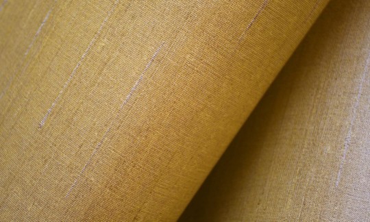 Tapeta Arte Paleo 50506 Latus