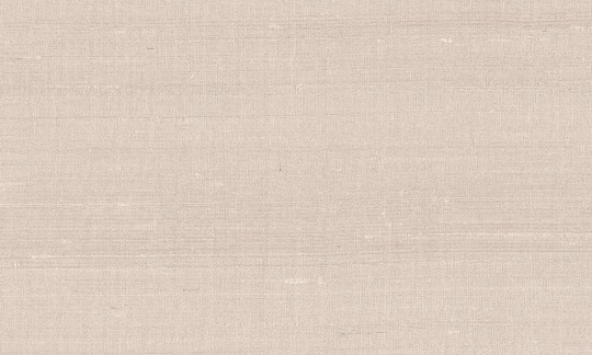 Tapeta Arte Paleo 50512 Latus