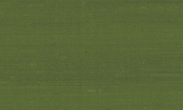 Tapeta Arte Paleo 50519 Latus