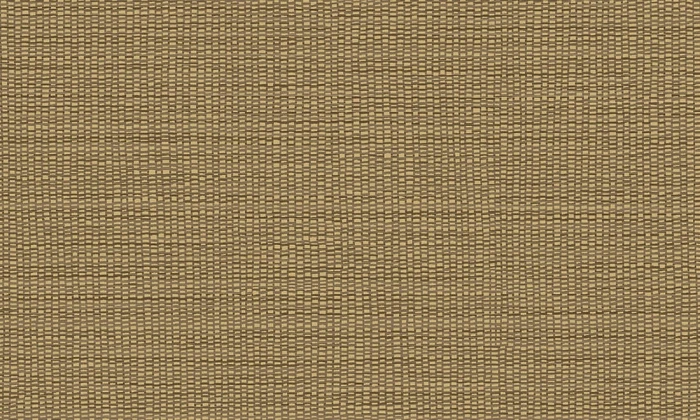 d81f1577af832031d732c0f4a9938719
