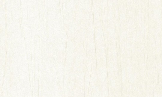 Tapeta Arte Vanguard 93535 Plex