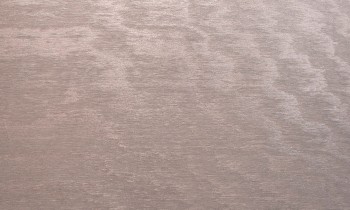 c510091288fc4c6cb8bf86574909c91e