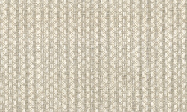 Tapeta Arte Wildwalk 28065 Ferox