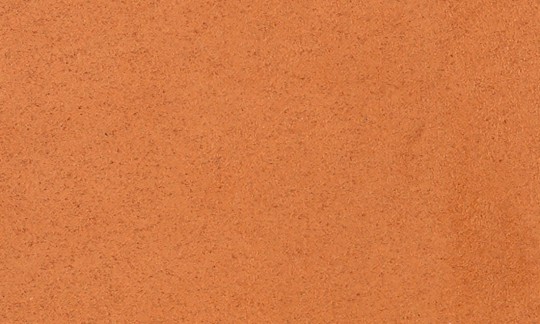 Tapeta Arte Wildwalk 28510 Noble