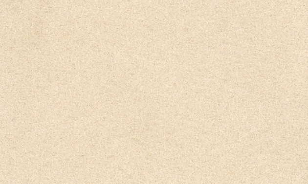 Tapeta Arte Wildwalk 28511 Noble