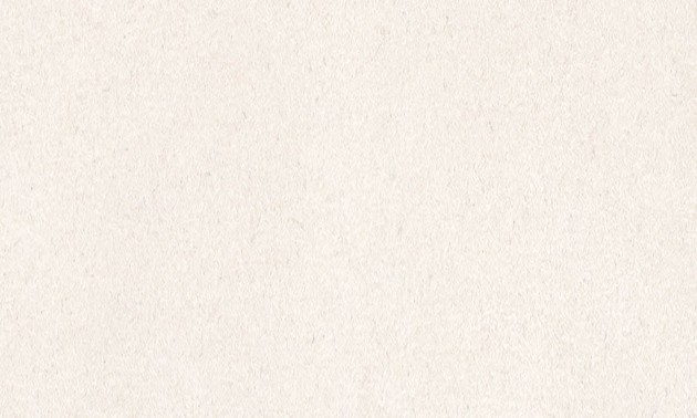 Tapeta Arte Wildwalk 28513 Noble