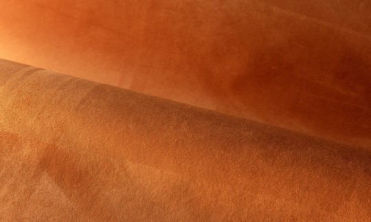 Tapeta Arte Wildwalk 28517 Noble