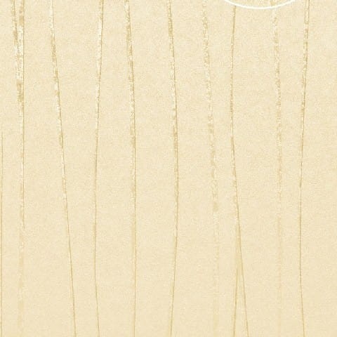 Tapeta Atlas Wallcovering Independent 566-4