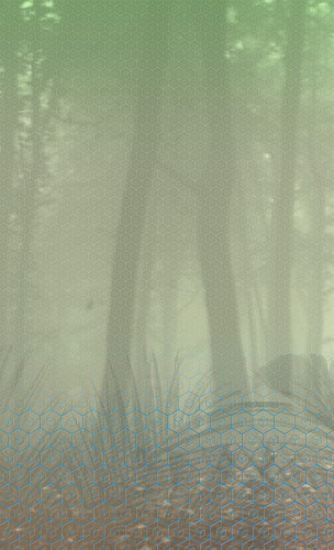 dbfb9bfed9c020101cc69445615d568b