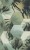 db9f1f37149865d04455d16aeca5dae5