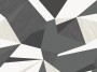 3bb5d82113f39796c9b414f531b32e85
