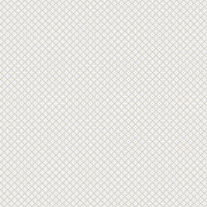 5f93acef7a42d271202731bc73947e4c
